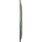 Ekena Millwork Biddix Ceiling Medallion (Fits Canopies up to 7 1/2"), 20 7/8"OD x 1 1/4"P, Athenian Green CM20BXAGF - alternate 3